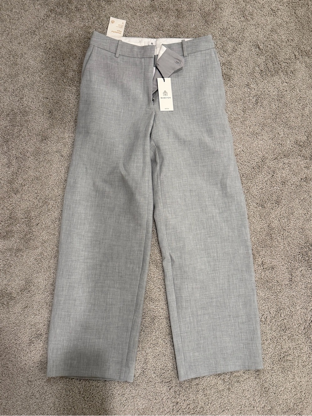 Aritzia Masterful Pants - NWT